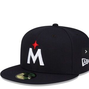 Minnesota twins baseball cap